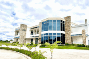 starosa 3 scaled png