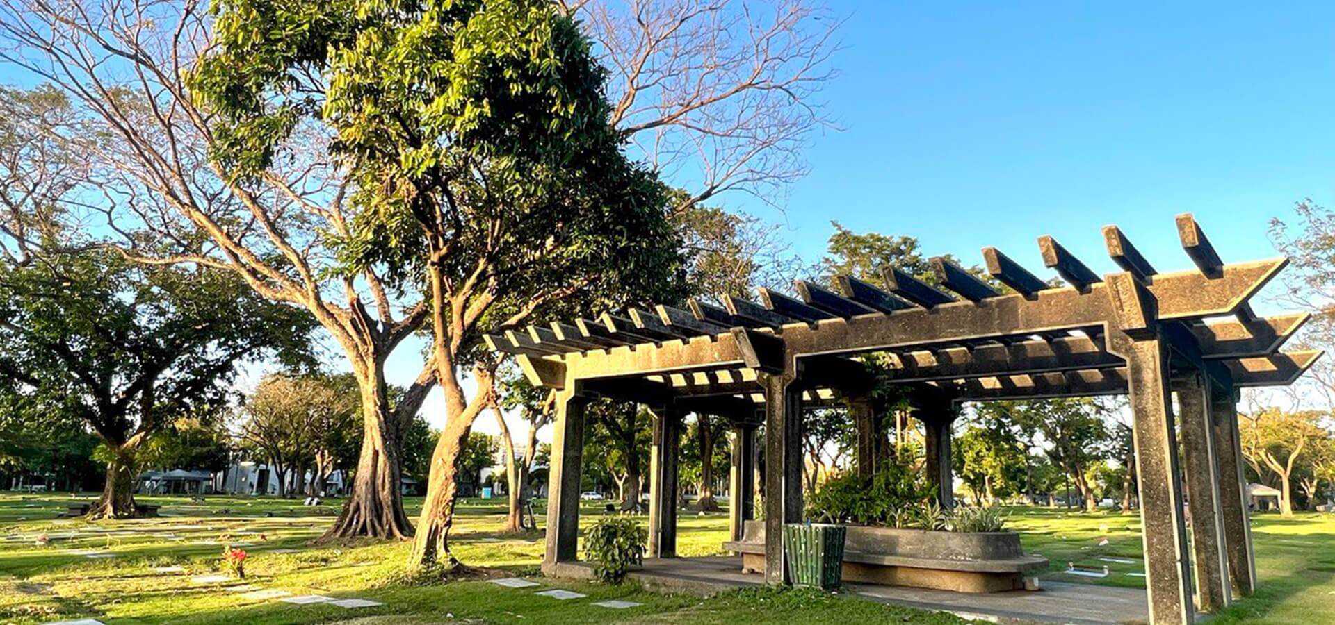 Trees and cemetery